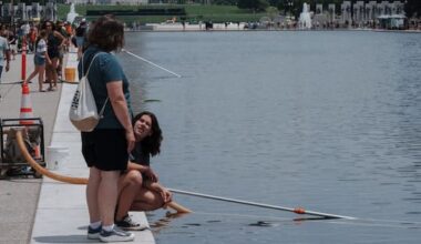 Fresh scrutiny over Reflecting Pool vandalism claims, duck deaths