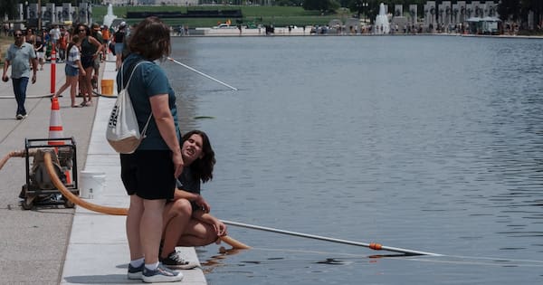 Fresh scrutiny over Reflecting Pool vandalism claims, duck deaths