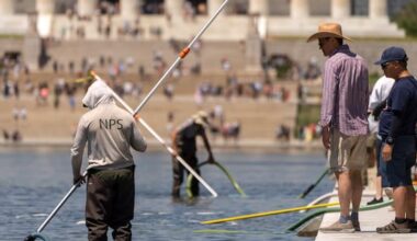 Trump blames reflecting pool woes on vandalism, without offering proof