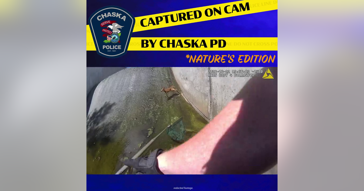 Caught on camera: Baby deer stuck in levee rescued by Chaska PD, DNR officers