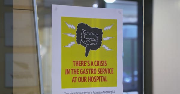 Severe specialist doctor shortage at Palmerston North Hospital