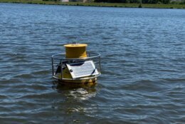 A buoy designed to monitor water quality floats in a local river.
