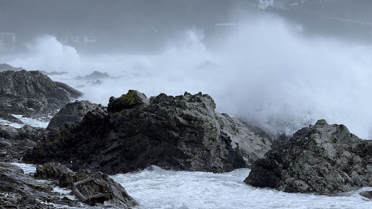 Waves at Ōwhiro Bay, Wellington south coast on Friday afternoon.