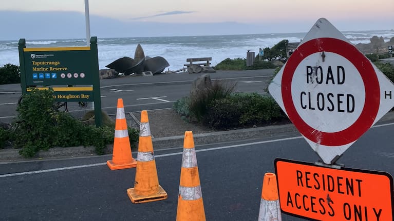Wellington's south coast closed from Taputeranga Marine Reserve. 
