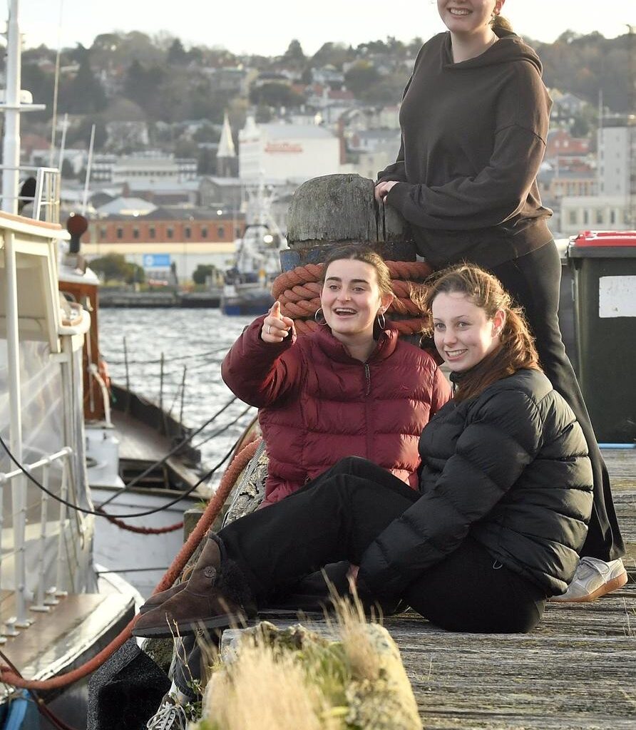 Whale, hello there! Marine mammals visit Otago Harbour