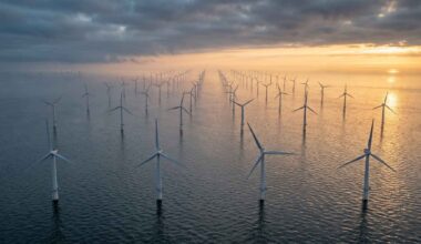 Scientists strapped GPS trackers to seals in the North Sea expecting them to flee the wind farms, but the animals were hunting along the turbines instead, swimming the rows so precisely you could map every foundation from a single seal’s trail