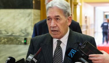 'This was expected': Boss of India-NZ Business Council dismisses Peters' racism claims