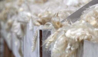 Bounce of confidence in the wool sector as prices boom