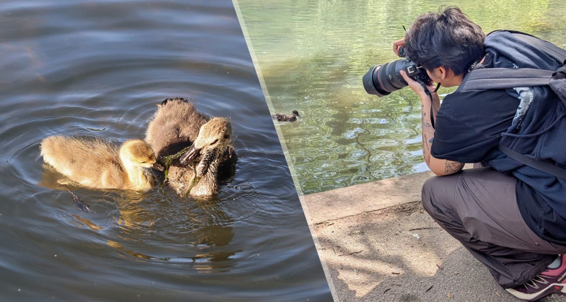 I’ve taken over 6,000 photos on the Canon EOS R6 Mark III: here are my favorite portraits, wildlife and landscape shots
