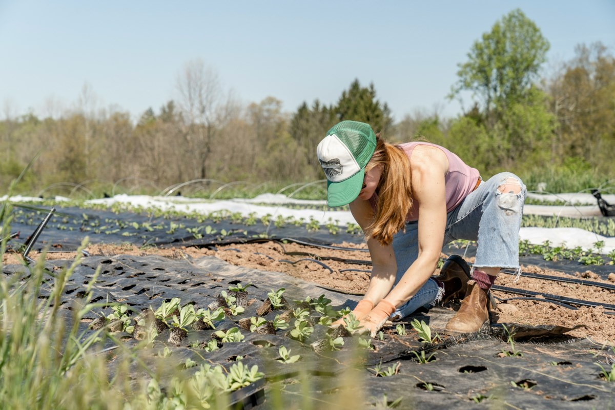 U of G study: Women farmers at higher risk for mental health struggles