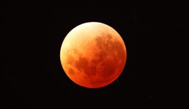 The lunar eclipse of March 3, 2026 over Auckland, New Zealand. Photo by Phil Walter/Getty Images