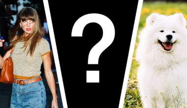Is This Taylor Swift and Travis Kelce’s Big White Dog?