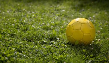 The Surprising World Cup Garden Hazard Putting Foxes, Hedgehogs And Other Wildlife At Risk
