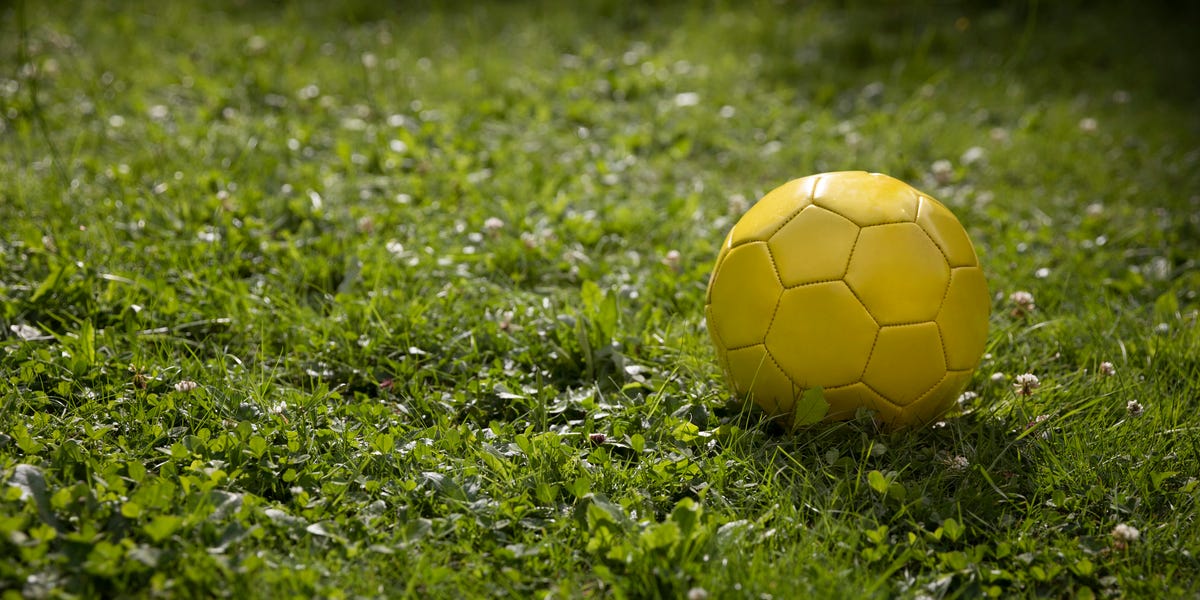 The Surprising World Cup Garden Hazard Putting Foxes, Hedgehogs And Other Wildlife At Risk