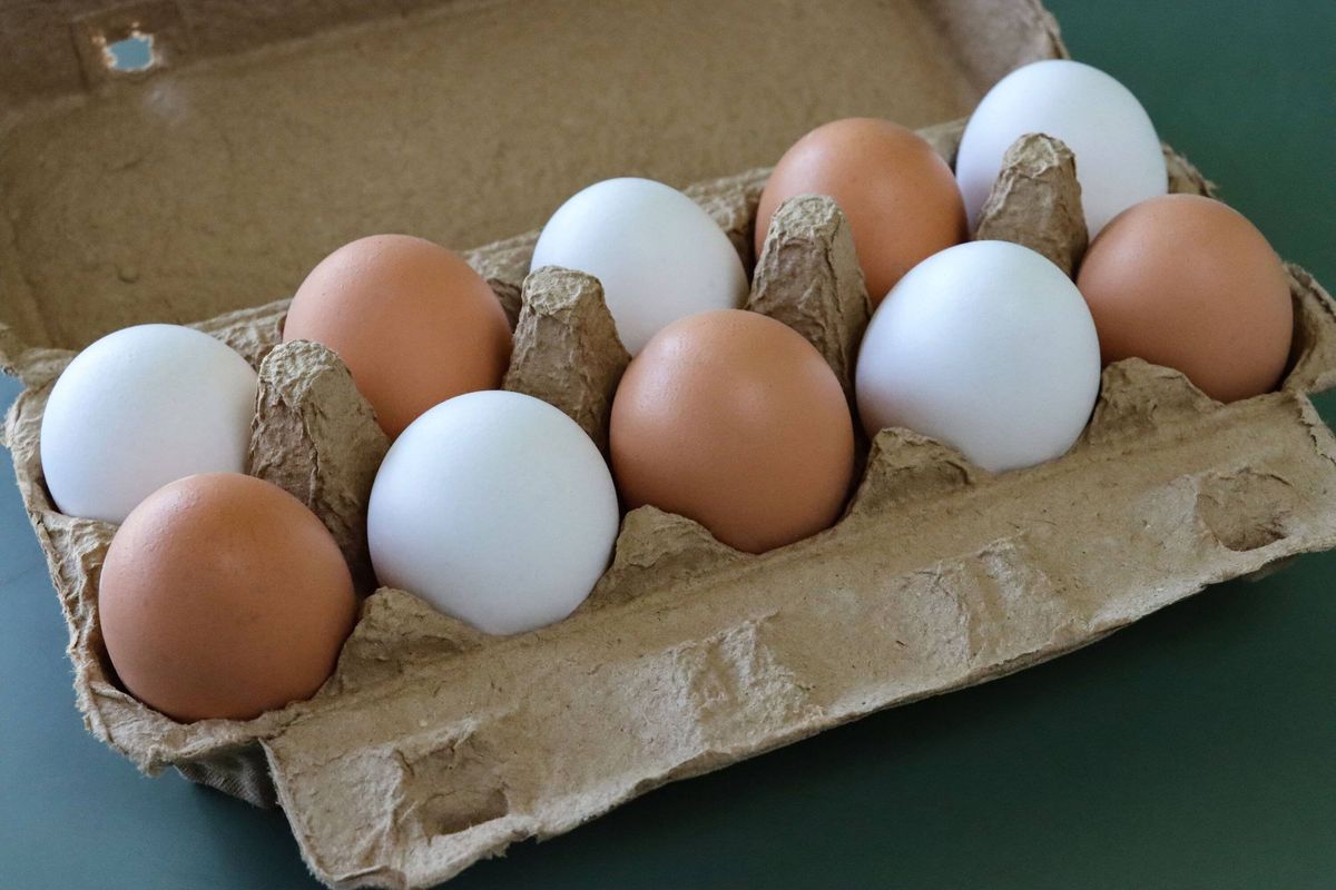 Image of open, brown cardboard carton of eggs, mixed coloured eggs, ten alternating white and brown shells, green background, focus on foreground