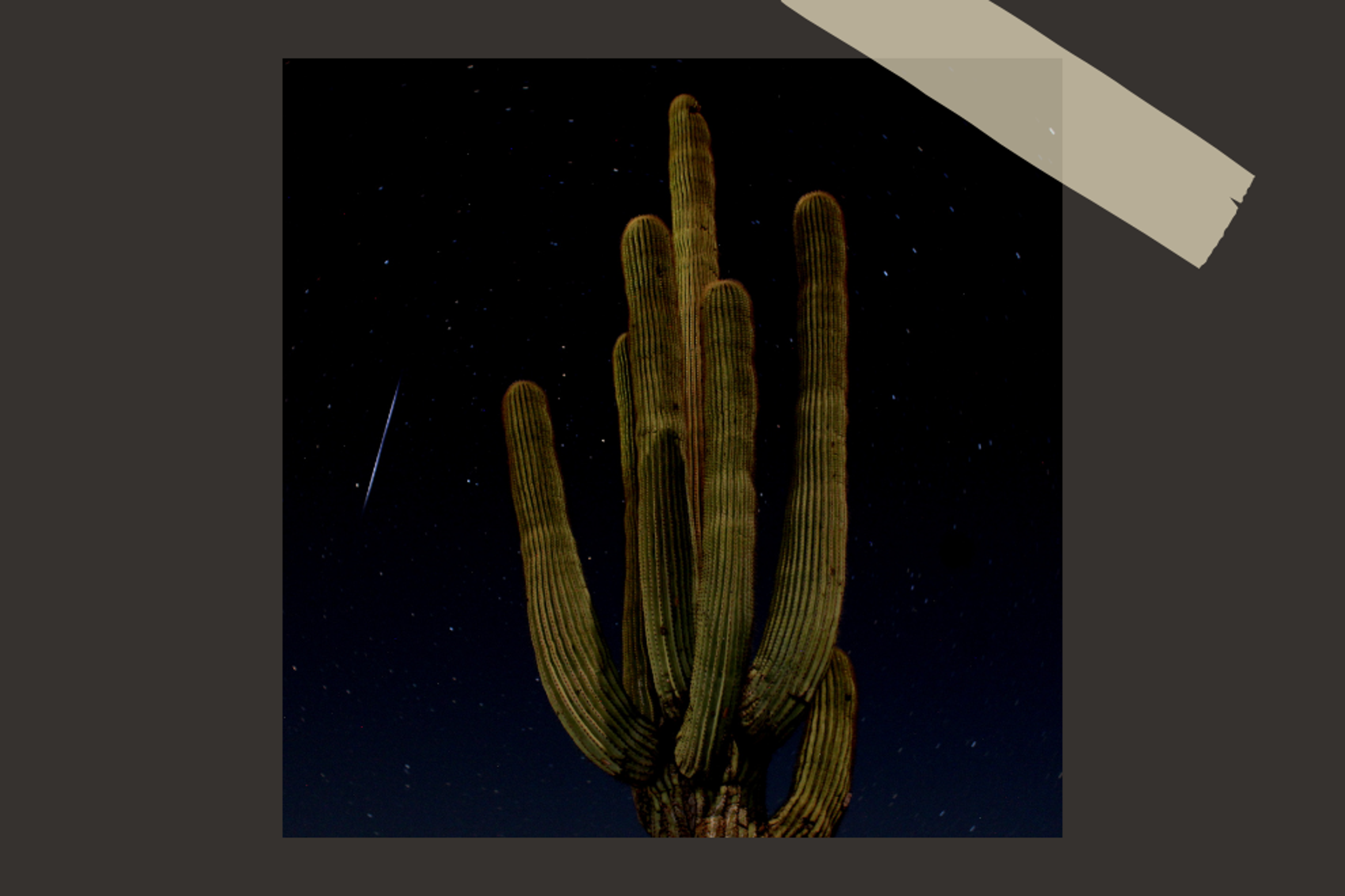 See the night sky in a whole new way at this Arizona National Monument — perfect for watching the August meteor shower.