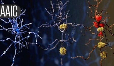 Dementia Prevention Is Not One-Size-Fits-All, Study Shows