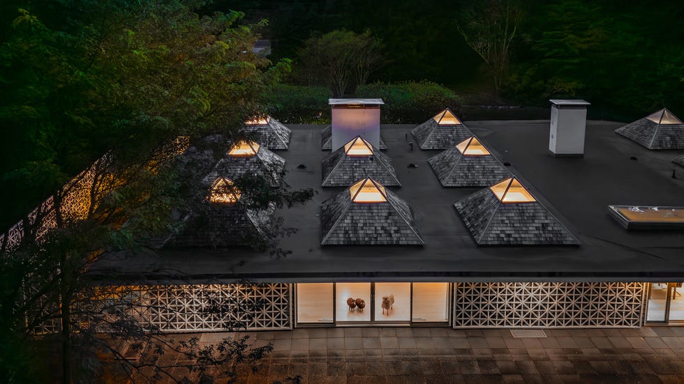 Roof of a building featuring several pyramid-shaped skylights surrounded by trees and illuminated at dusk.