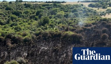 Most UK media reports on June heatwave failed to mention climate crisis | Extreme heat