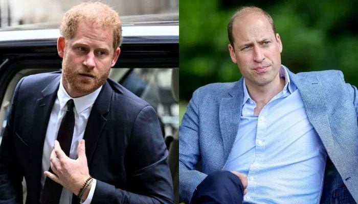 Prince William looking to ‘take refuge’ from Prince Harry chaos