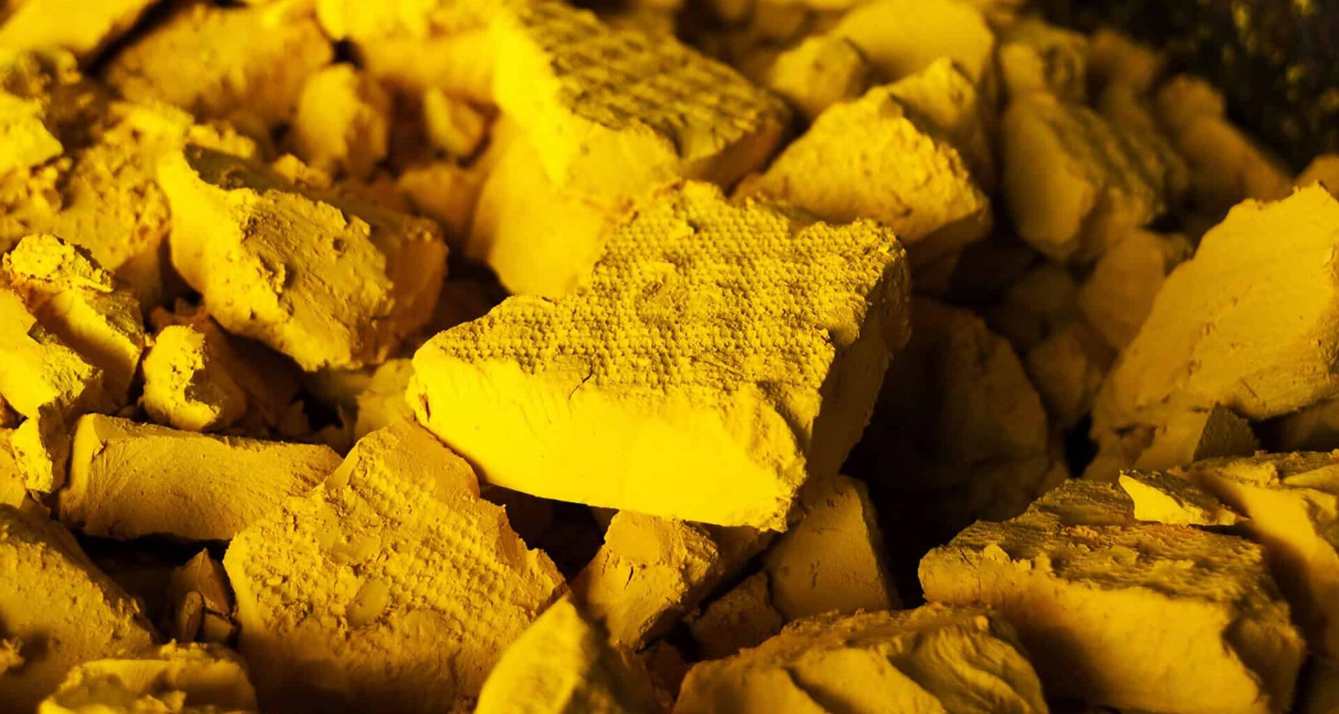 These Microbes Removed 96% of Dissolved Uranium From Mine Water