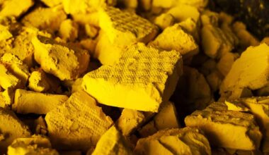 These Microbes Removed 96% of Dissolved Uranium From Mine Water