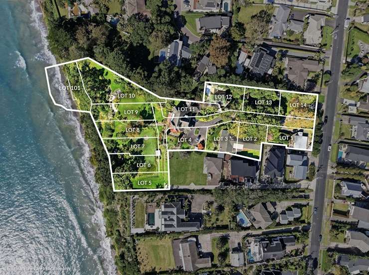 The One Property Group bought Fowey Lodge in East Auckland earlier this year for over <img0m. It plans to carve up the 1.13ha site. Photo / Supplied