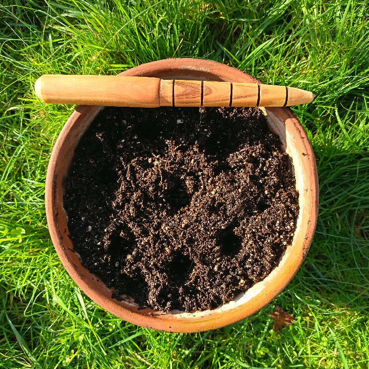 Garden Dibber - Cherry Wood - Marked in inches