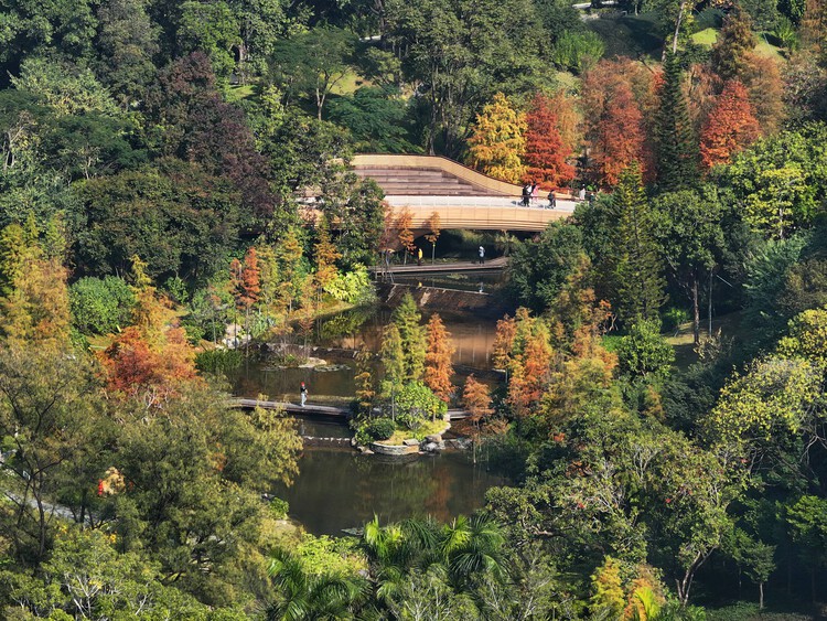 What Can Architectural Practice Learn From Botany? - Image 3 of 17