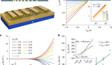 Directly probing the carrier transfer length in 2D-material transistors