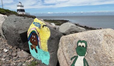 Art or graffiti? Beachside paintings of cartoons spark conversation in scenic N.S. community