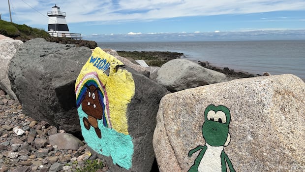Art or graffiti? Beachside paintings of cartoons spark conversation in scenic N.S. community