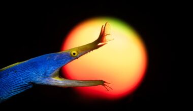 Masters Of Photography Competition By Hasselblad: 21 Captivating Winning Photos