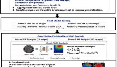Enhancing brain tumor detection through deep learning and explainable AI techniques