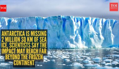 Antarctica is missing 2 million sq km of sea ice, scientists say the impact may reach far beyond the frozen continent