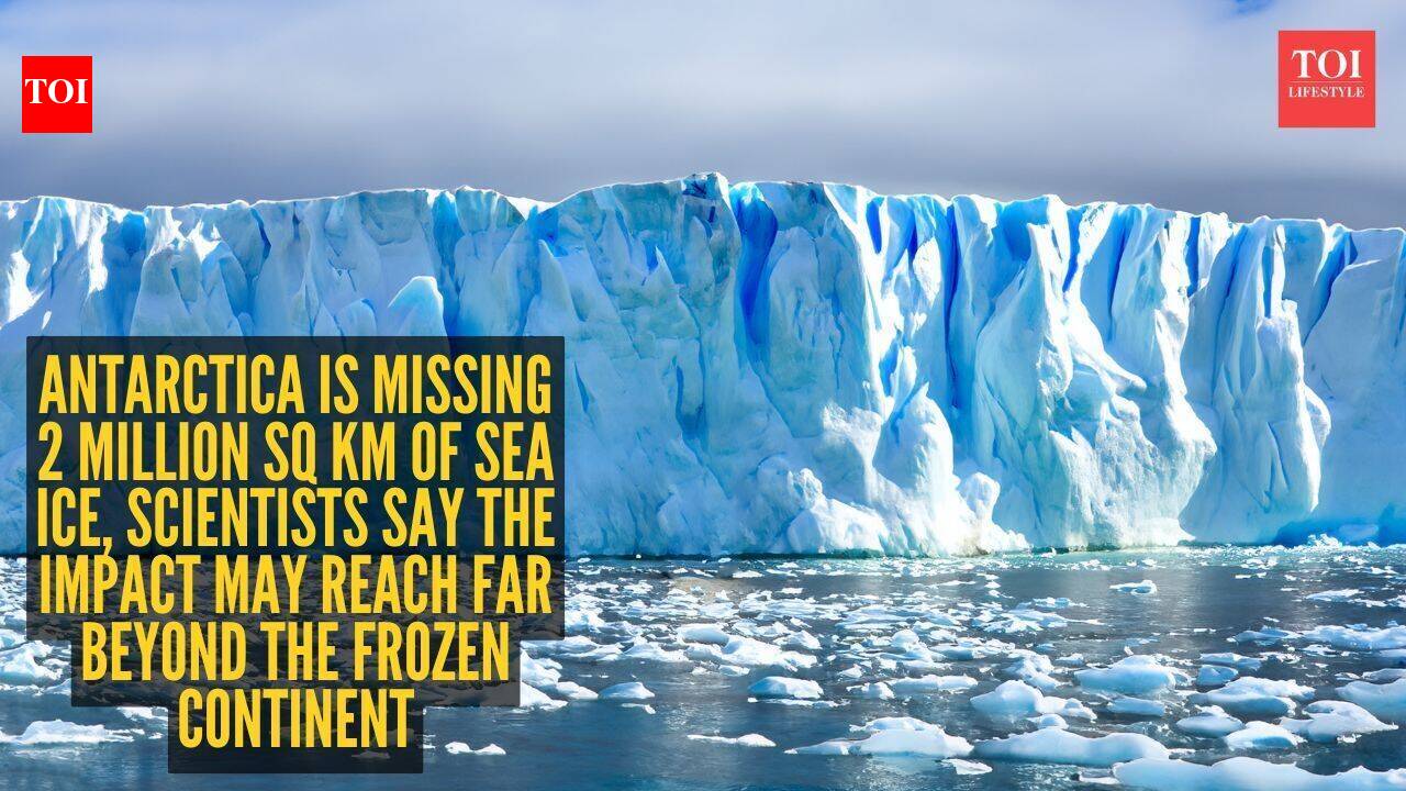 Antarctica is missing 2 million sq km of sea ice, scientists say the impact may reach far beyond the frozen continent
