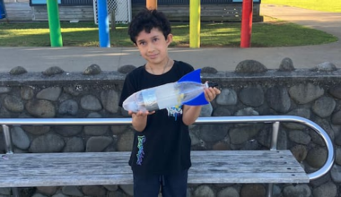 New Plymouth boy's science project rocket found 120m away — up a tree