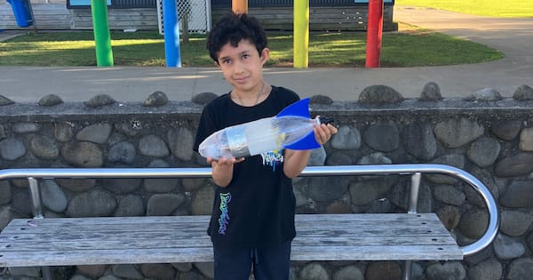 New Plymouth boy's science project rocket found 120m away — up a tree