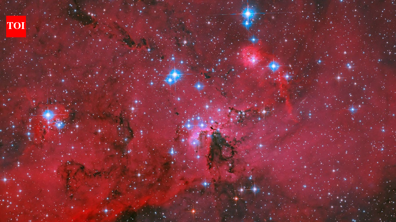 Nasa’s Hubble captures a spectacular red, white and blue stellar nursery where thousands of stars are being born |