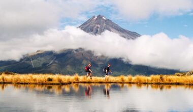 Trail of blood led searchers to missing Taranaki climber's body