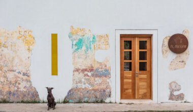 From Homes to Coffee Shops: Adaptive Reuse Projects Transforming Domestic History