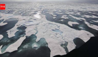 Scientists tried to thicken Arctic ice by pumping seawater onto it. The ice did become thicker and brighter, but there is a big catch
