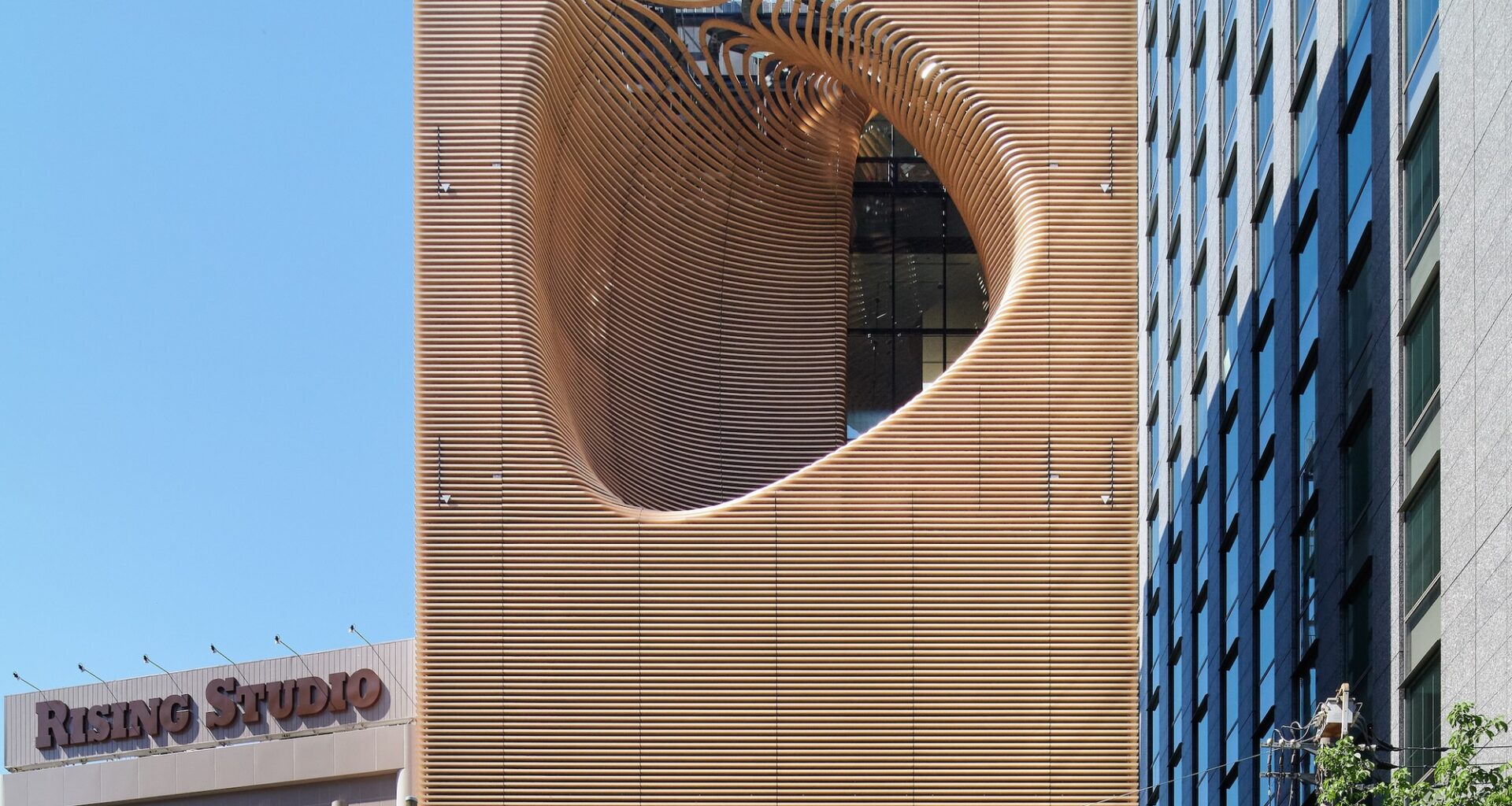 Timber Studio / Koichi Takada Architects
