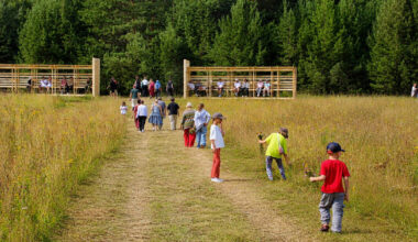 twin timber gateways frame open-air architectural park in russia