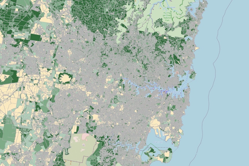 A map of Sydney showing where tree canopy exists in dark green.