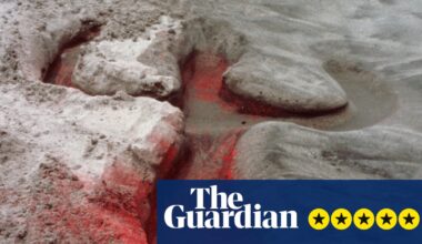 Ana Mendieta review – were she still alive she’d be at the forefront of art in this century | Art and design