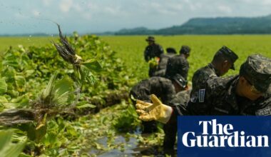 First came the dead fish, then invasive plants. A year later and Lake Suchitlán’s pollution remains a mystery | Water