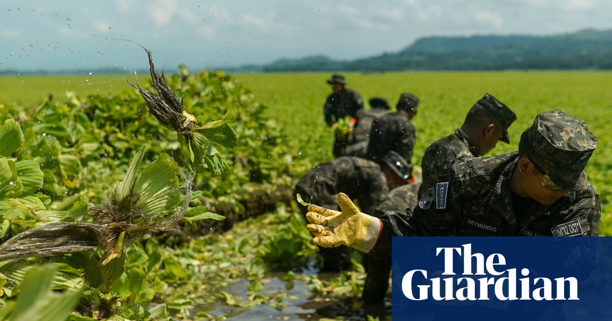 First came the dead fish, then invasive plants. A year later and Lake Suchitlán’s pollution remains a mystery | Water