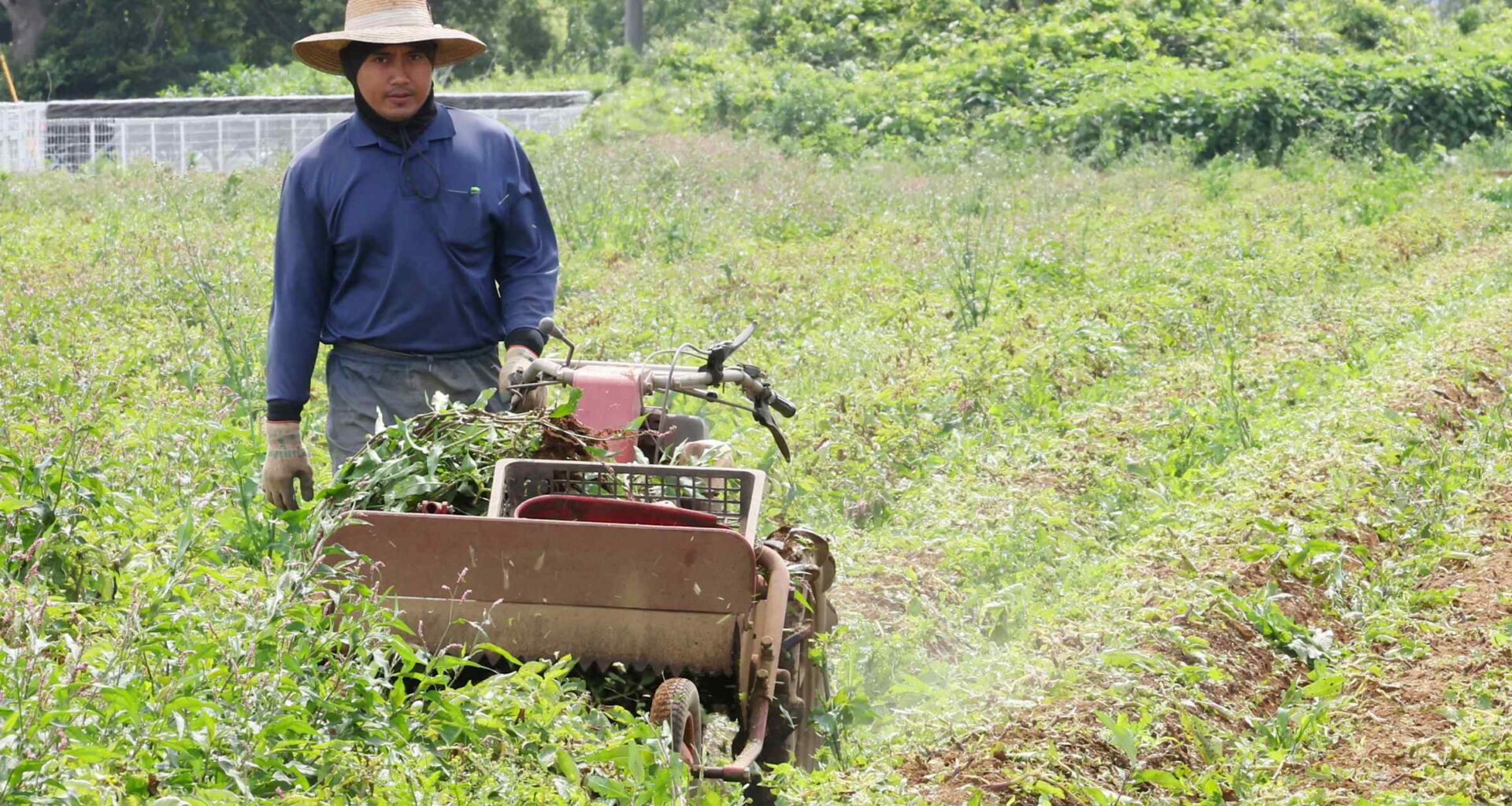More foreign workers push Japan's overseas remittances to record high