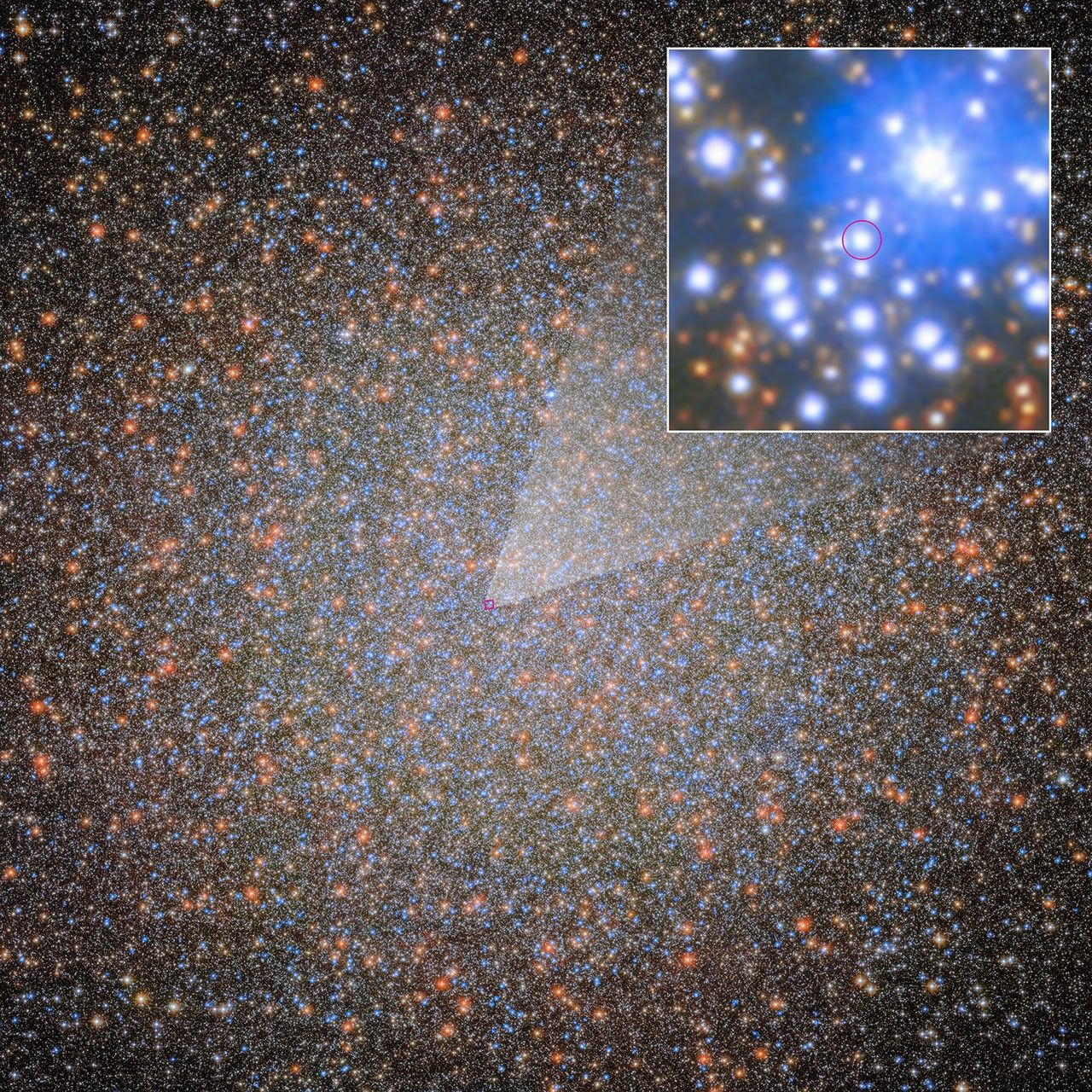 A Hubble image of globular star cluster Omega Centauri, which looks like a dense field of stars. Some stars appear a bit larger and brighter than others; most appear blue, orange, or yellow. The colors appear uniformly distributed, like grains of sand. Stars toward the cluster’s center are packed closer together, creating a more luminous area at the globular cluster’s core. A small red square frame is superimposed on the cluster near the image’s center. It connects to a square pullout in the top-right corner, which shows the outlined area in greater detail. Among the blue- and orange-colored stars is small blue-white dot highlighted by a small red circle.